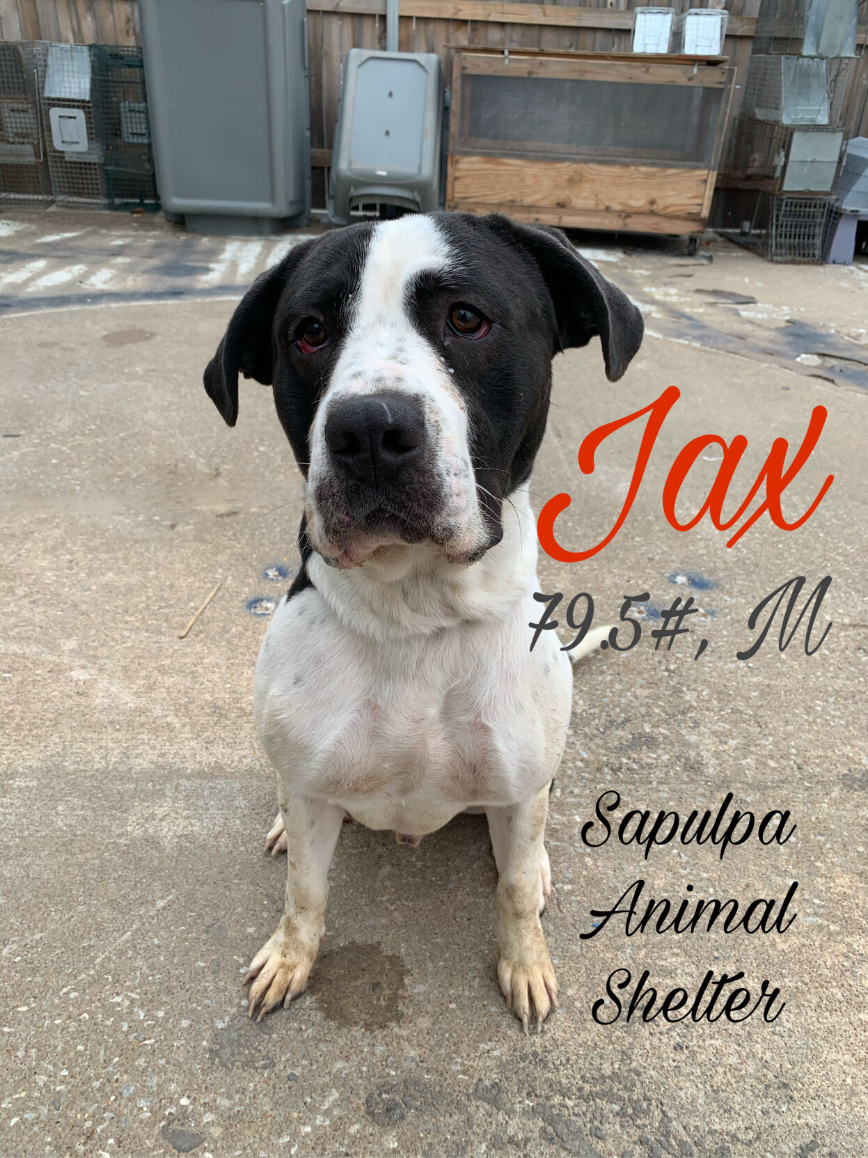 Jax